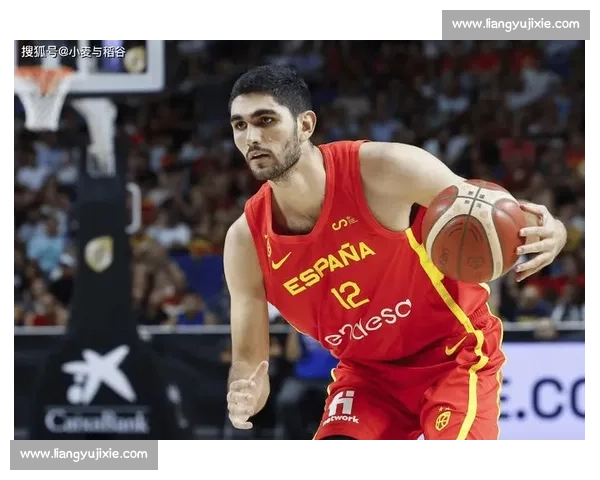 灰熊 594 万资质报价阿尔达马，续约主动权在手